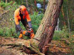 Mulching Services in Lame Deer, MT